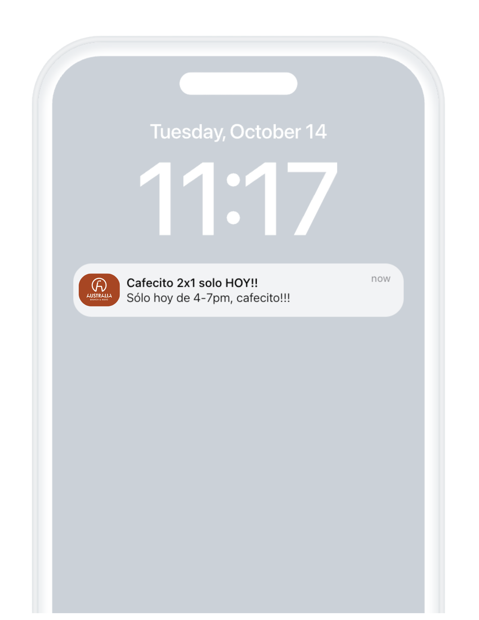 iPhone mostrando push notification de promoción